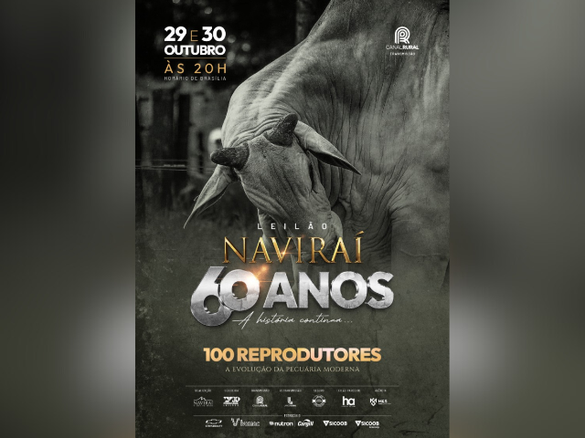 Leilão Naviraí 60 Anos – 1ª Etapa