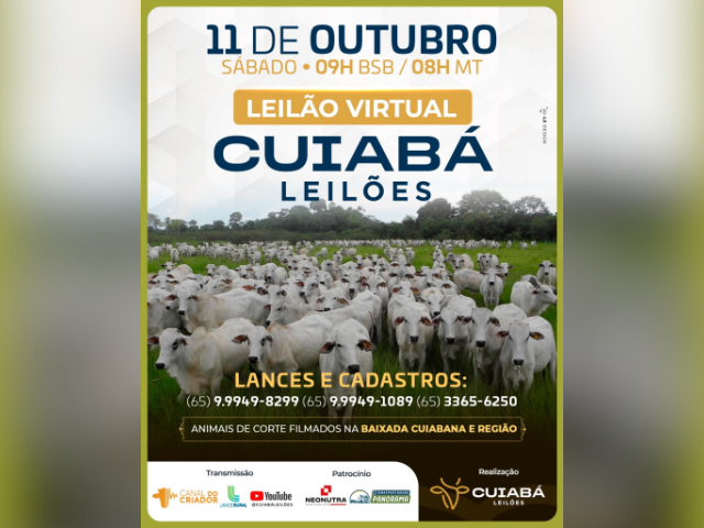 Leilão Virtual Cuiabá Leilões