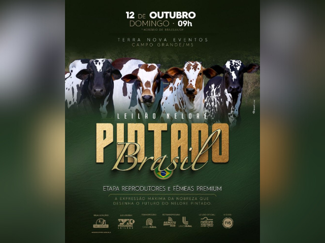 Leilão Nelore Pintado Brasil Etapa Reprodutores e Fêmeas Premium