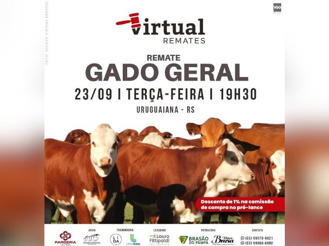 Remate Gado Geral