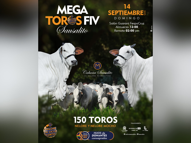 Remate Mega Toros FIV