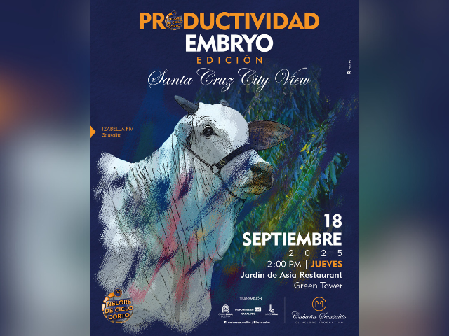 Remate Productividad Embryo Edicion Santa Cruz City View
