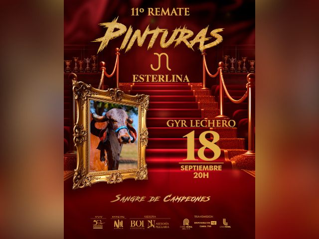 11º Remate Pinturas Gyr Lechero