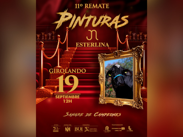 11º Remate Pinturas Girolando