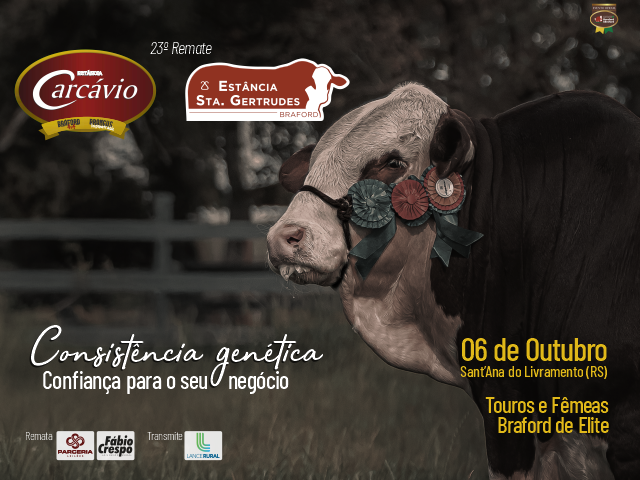 23º Remate Estância Carcavio & Estância Santa Gertrudis