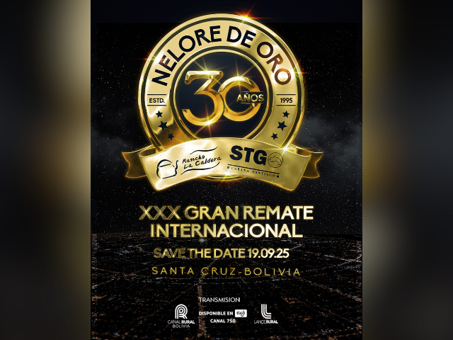 30º Remate Nelore de Oro Internacional