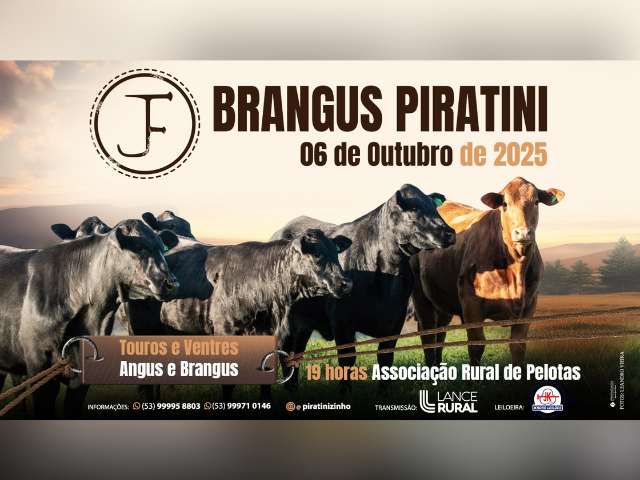 Leilão Brangus Piratini