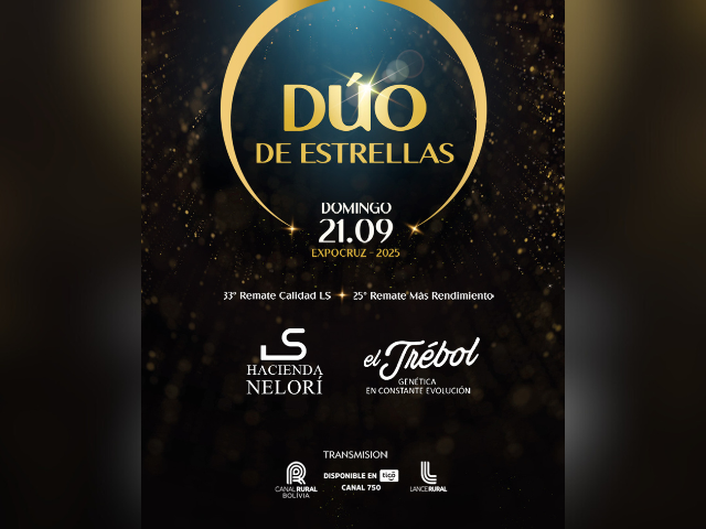 Remate Duo Estrellas