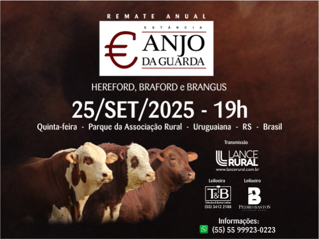 Remate Anual Estânica Anjo da Guarda