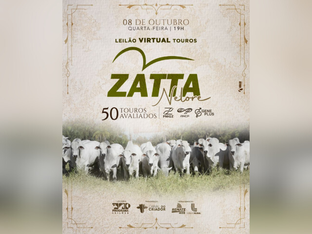 Leilão Virtual Touros Nelore Zatta