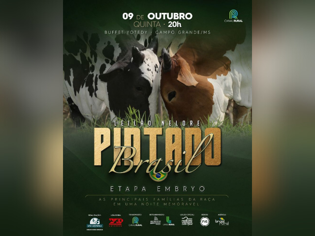 Leilão Nelore Pintado Brasil Etapa Embryo