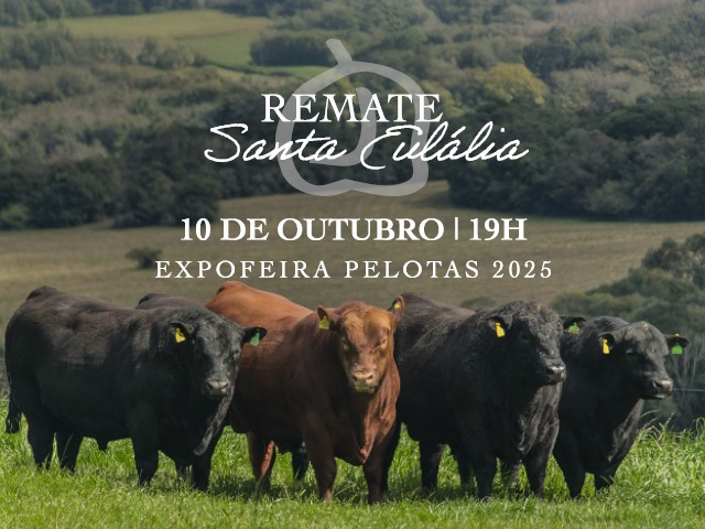 Remate Santa Eulalia