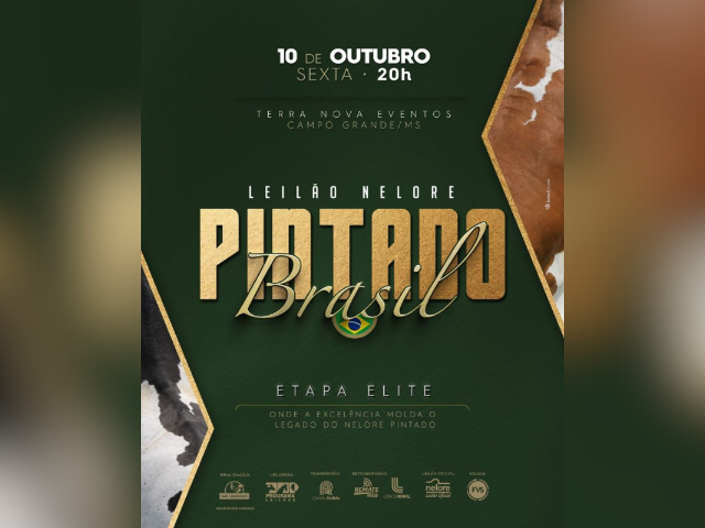 Leilão Nelore Pintado Brasil Etapa Elite
