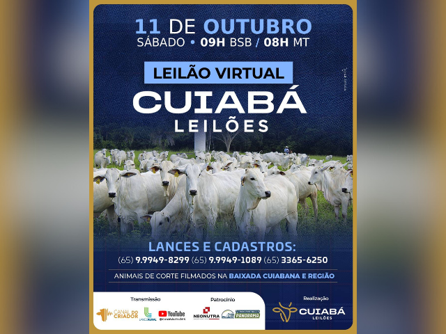 Leilão Virtual Cuiabá Leilões