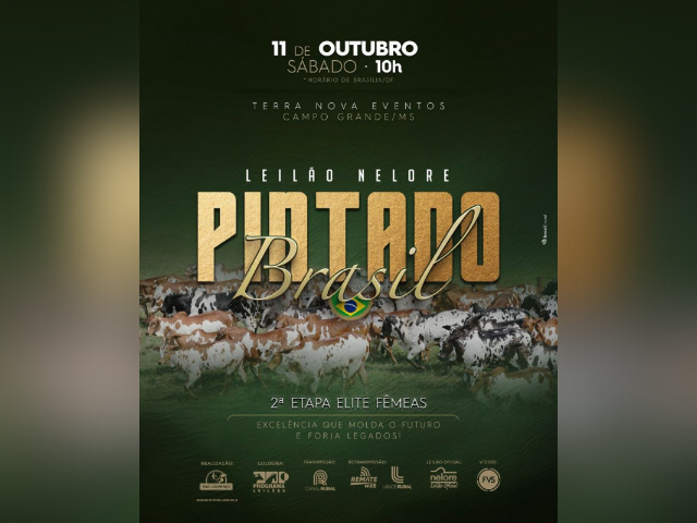 Leilão Nelore Pintado Brasil 2ª Etapa Elite Fêmeas