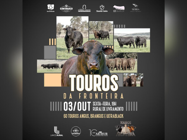 Remate Touros da Fronteira