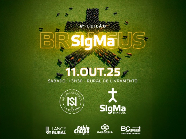 6º Leilão Sigma Brangus
