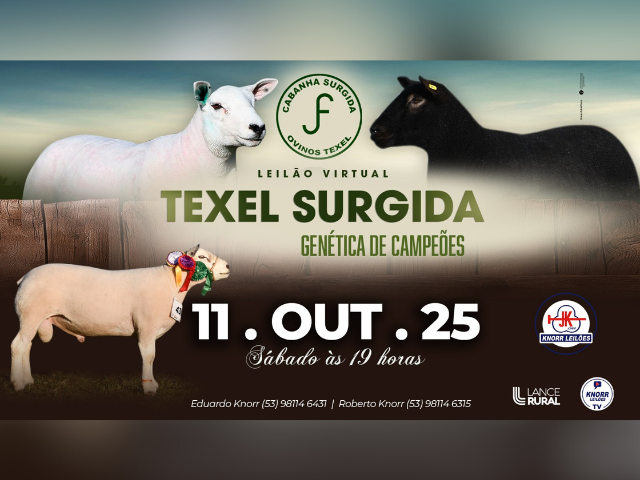Leilão Virtual Texel Surgida – Genética de Campeões