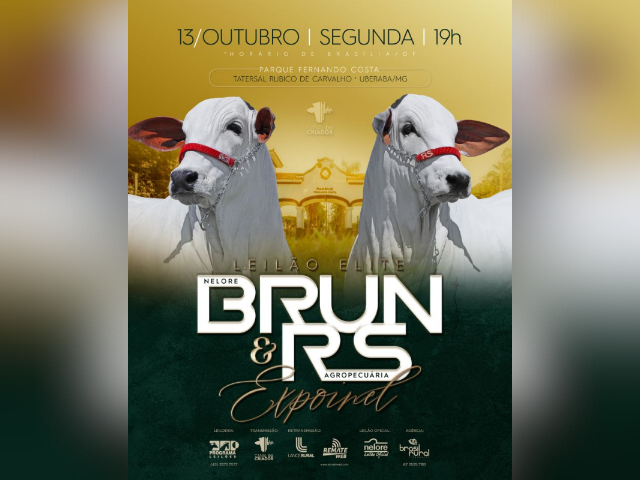 Leilão Elite Nelore Brun & RS Agropecuária – Expoinel