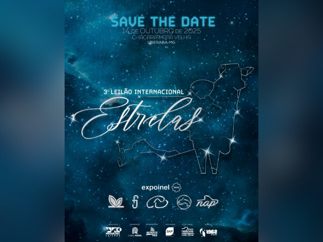 3º Leilão Internacional Estrelas