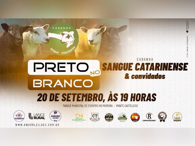 Leilão Preto no Branco
