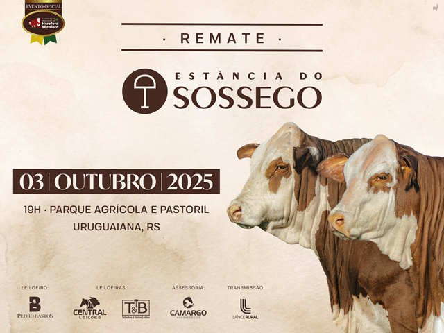 Remate Braford Estância do Sossego