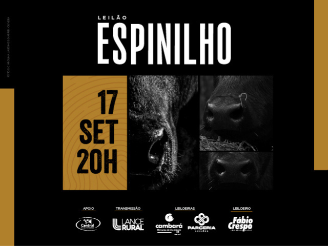 Leilão Espinilho