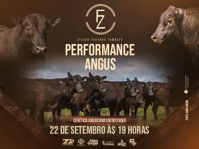 Leilão Fazenda Zambeze Performance Angus