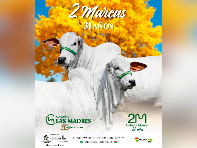 Remate 2 Marcas “31 Años”
