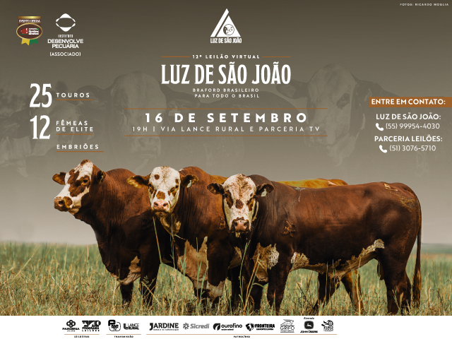 12º Leilão Luz de São João