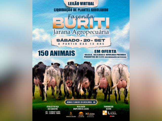 Leilão Virtual Liquidação de Plantel Girolando Fazenda Buriti