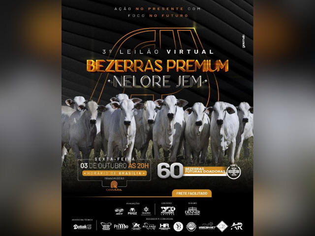 3º Leilão Virtual Bezerras Premium Nelore JEM