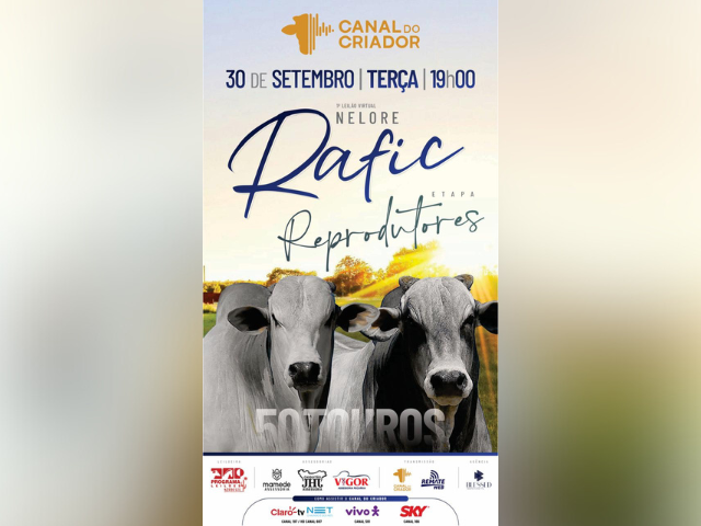 1º Leilão Virtual Nelore Rafic – Etapa Reprodutores