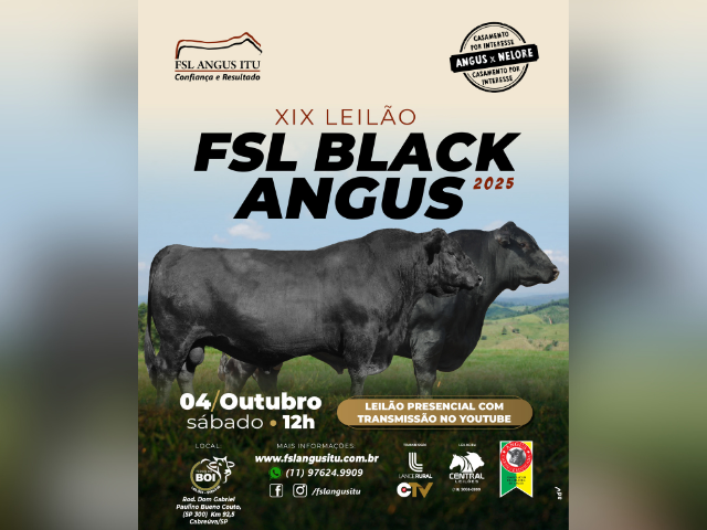 Leilão FSL Black Angus