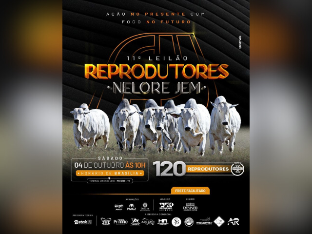 11º Leilão Reprodutores Nelore JEM