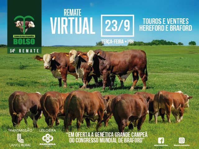 54º Remate Virtual Cabanha do Bolso