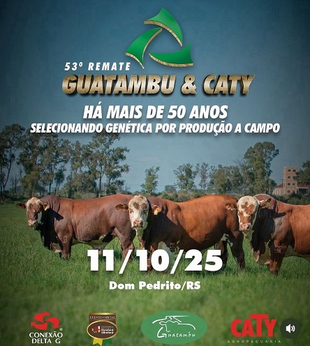 53º Remate Guatambu e Caty