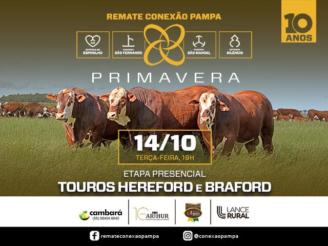 Conexão Pampa – Virtual Touros