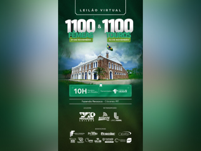 Leilão Virtual Fazenda Ressaca