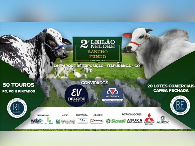 2º Leilão Nelore Rancho Fundo