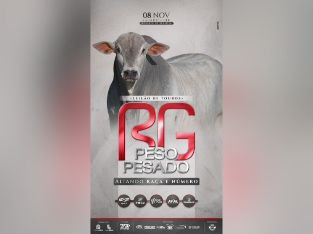 Leilão de Touros RG Peso Pesado