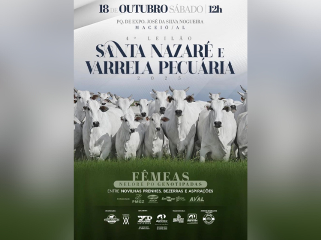 4º Leilão Santa Nazaré e Varrela