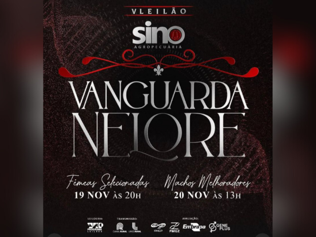 V Leilão Sino Agropecuária – Vanguarda Nelore – Fêmeas Selecionadas