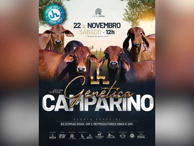Leilão Virtual Genética Camparino – Bezerras e Reprodutores