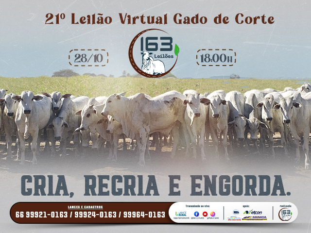 21º Leilão Virtual Gado de Corte