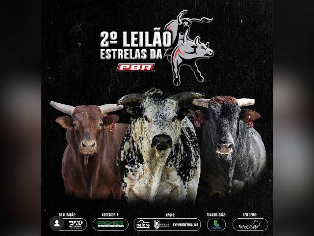 2º Leilão Estrelas da PBR