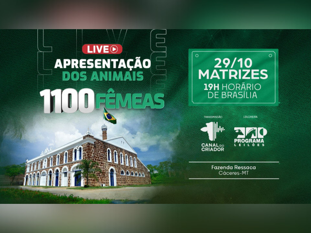 Live Apresentação dos Animais Fazenda Ressaca – Fêmeas