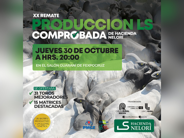 XX Remate Produccíon LS Comprobada