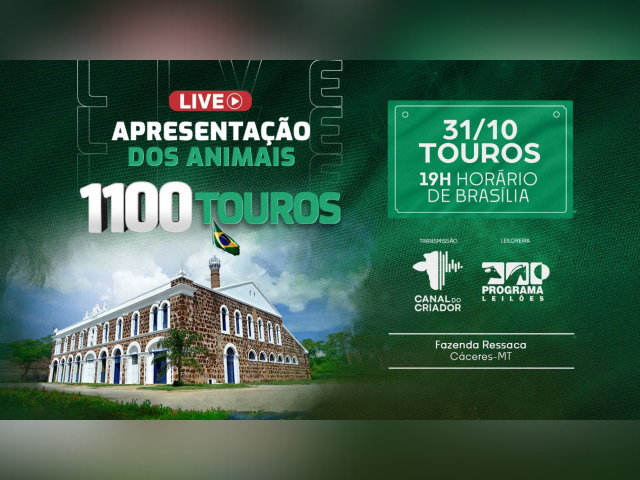 Live Apresentação dos Animais Fazenda Ressaca – Touros