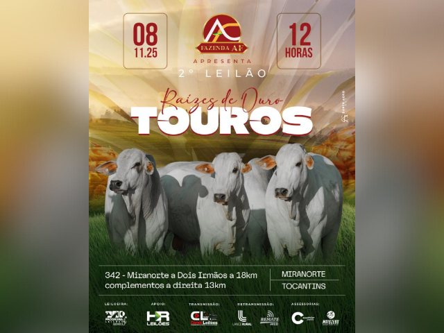 2º Leilão Raizes de Ouro – Touros